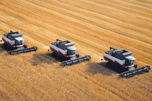 Українське сільгоспвиробництво зменшило оберти